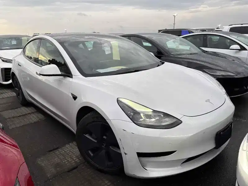 2021 Tesla Model 3 Electric