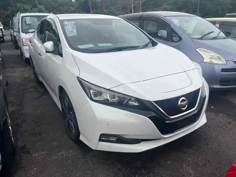 2017 Nissan Leaf Electric