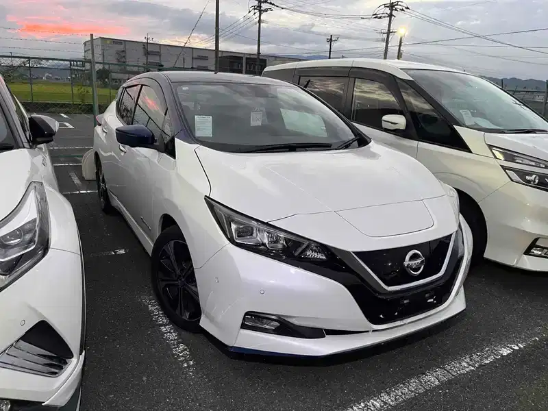 2018 Nissan Leaf Electric