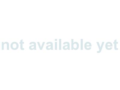 TOYOTA RAV4 HYBRID X Image 15
