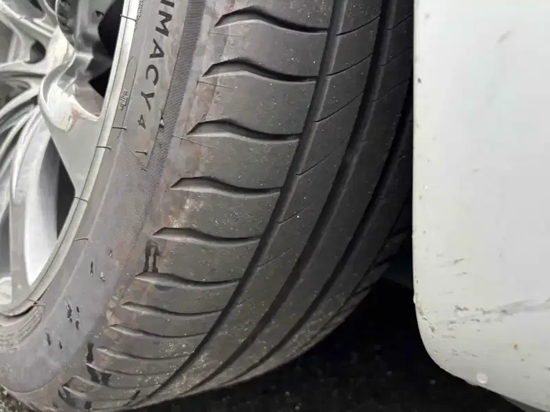 TESLA MODEL 3 STANDARD RANGE PLUS Image 12