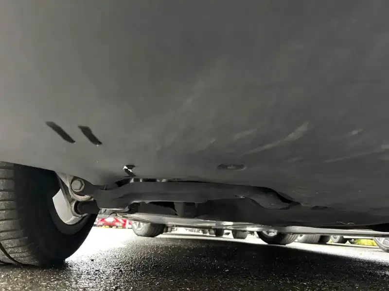 TESLA MODEL 3 STANDARD RANGE PLUS Image 13