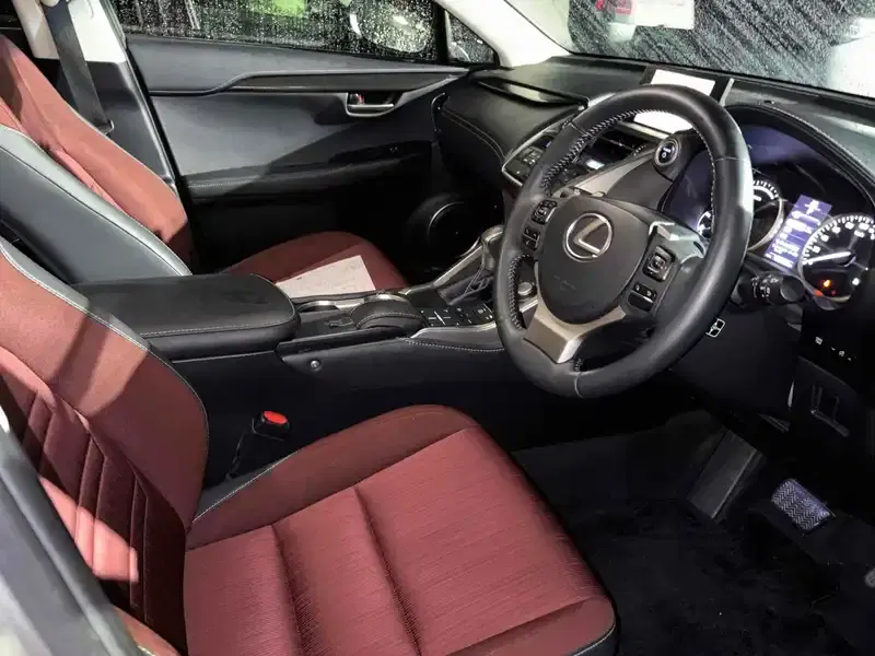 LEXUS NX NX300H Image 7