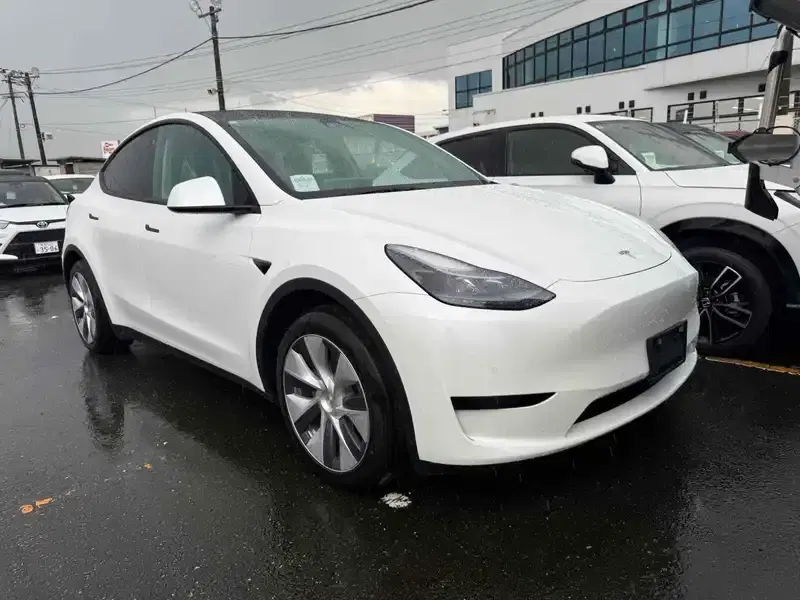 2023 Tesla MODEL Y 35,000 km
