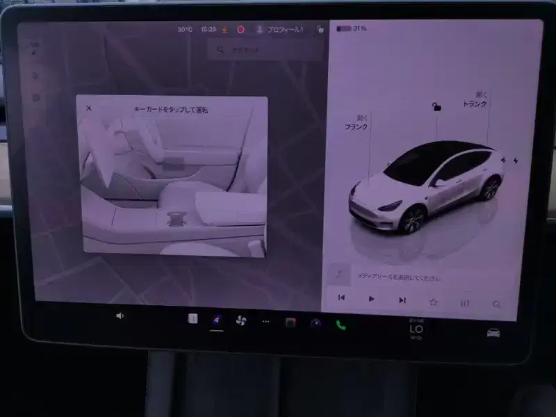 TESLA MODEL Y RWD Image 8