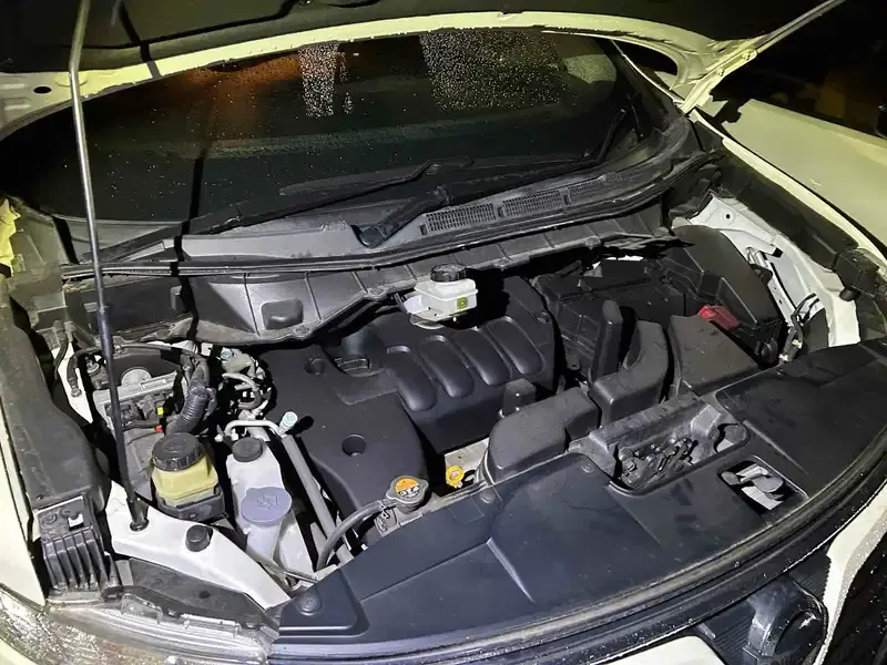 NISSAN ELGRAND 5D 250 HIGHWAY STAR S Image 13