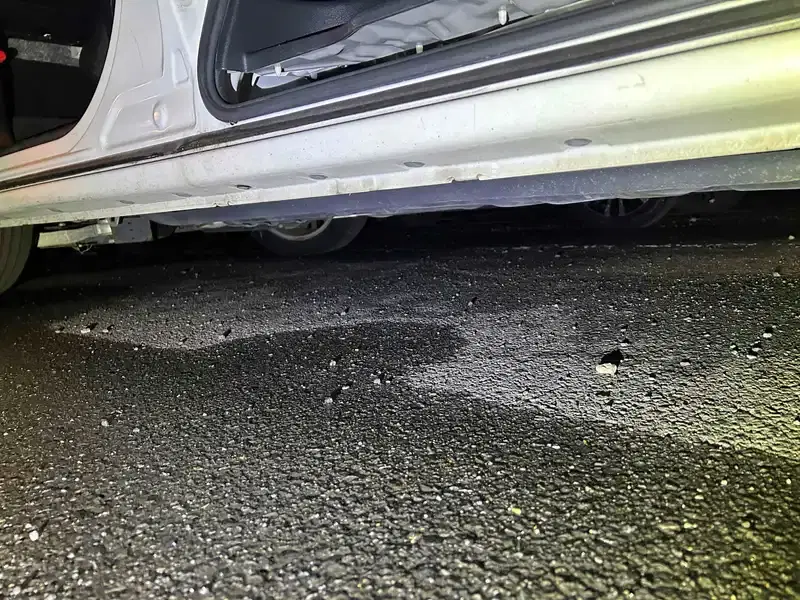 NISSAN ELGRAND 5D 250 HIGHWAY STAR S Image 16