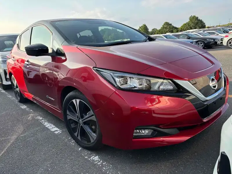 2018 Nissan LEAF 39,000 km