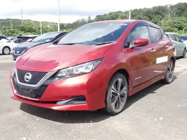 2018 Nissan LEAF 50,000 km