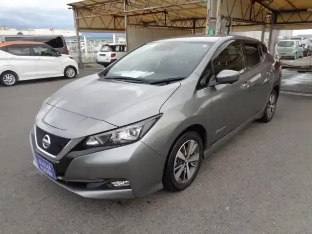 2019 Nissan LEAF 86,000 km