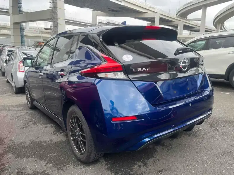 NISSAN LEAF X Image 2